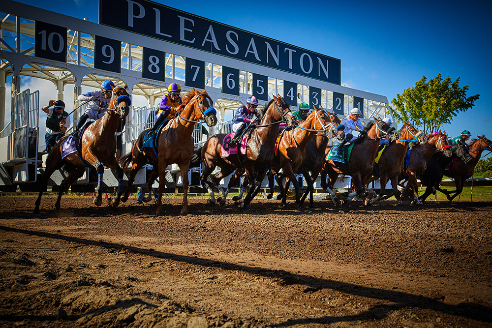 Live Racing - Horses coming out of the Starting Gate